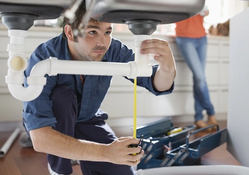 Professional Plumber